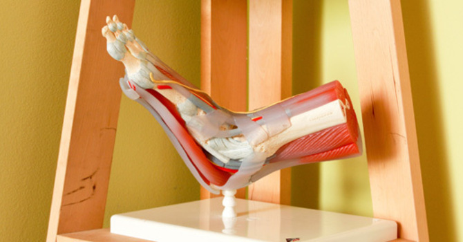 Massage Therapy